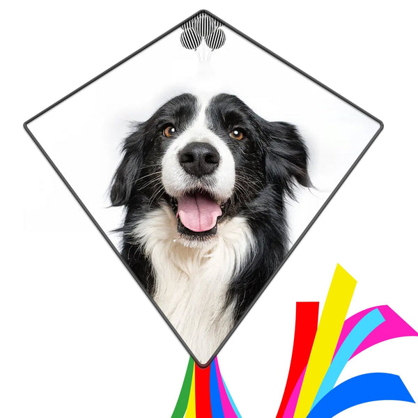 Kangyue Custom Your Personalized Photo Kite