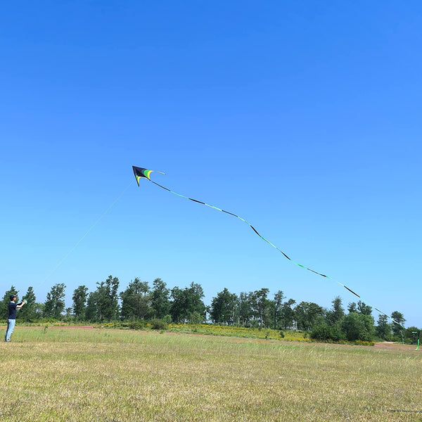Kangyue Flying Hoofer Giant Kite for Adults Easy to Fly, 9ft Huge Delta Kite 754525154358