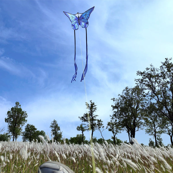 Kangyue Kaiciuss Blue Butterfly Kite for Kids & Adults Easy to Fly 50132665417