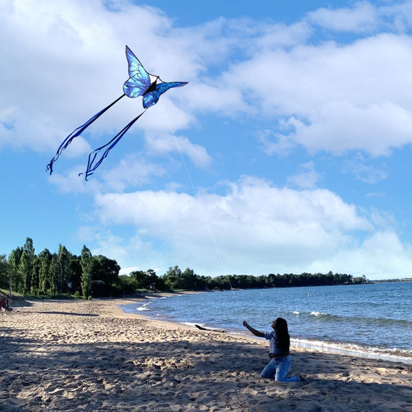 Kangyue Kaiciuss Blue Butterfly Kite for Kids & Adults Easy to Fly 50132665417