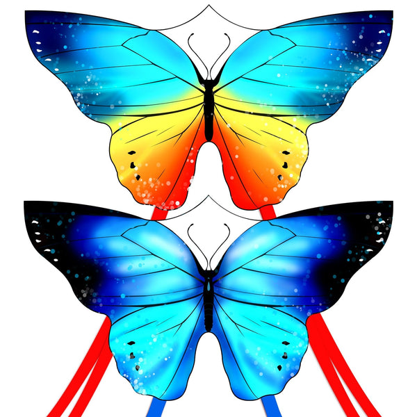 Kangyue Kaiciuss Couple Butterfly Kite for Kids & Adults Easy to Fly 50132665424