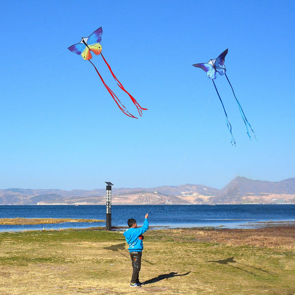 Kangyue Kaiciuss Couple Butterfly Kite for Kids & Adults Easy to Fly 50132665424