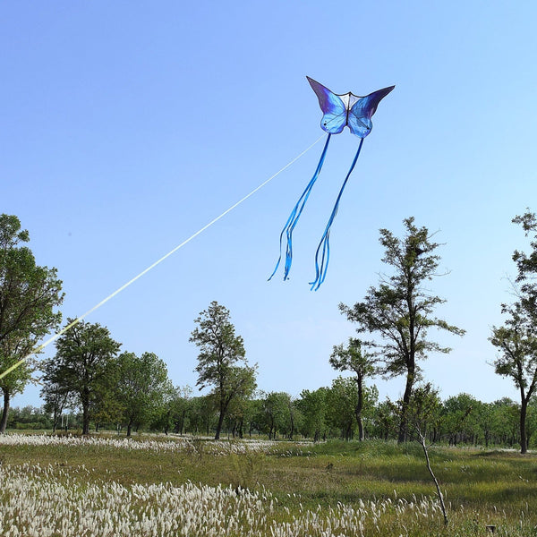 Kangyue Kaiciuss Couple Butterfly Kite for Kids & Adults Easy to Fly 50132665424