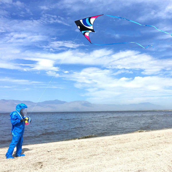Kangyue Kaiciuss Delta Kite for Kids & Adults Easy to Fly Large, Single Line Beach Kite 50132665448