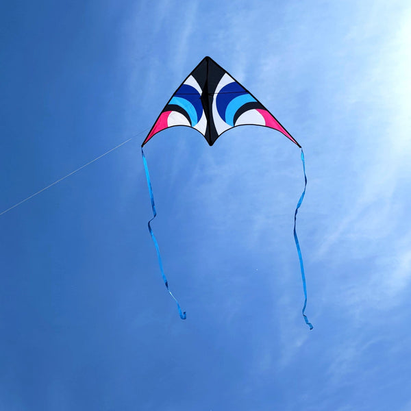 Kangyue Kaiciuss Delta Kite for Kids & Adults Easy to Fly Large, Single Line Beach Kite 50132665448