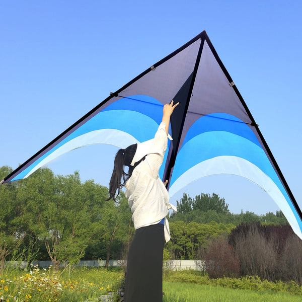 Kangyue Kaiciuss Giant Delta Kite for Adults, Huge Oversized Single Line Beach Kite 50132665103