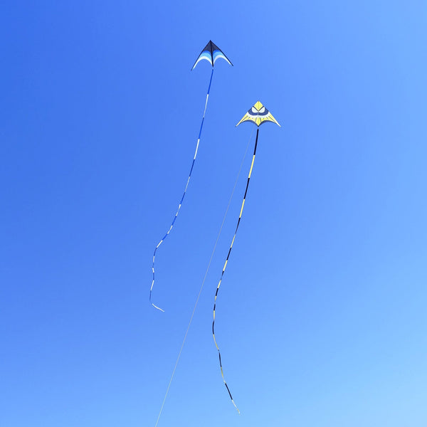 Kangyue Kaiciuss Giant Delta Kite for Adults, Huge Oversized Single Line Beach Kite 50132665103