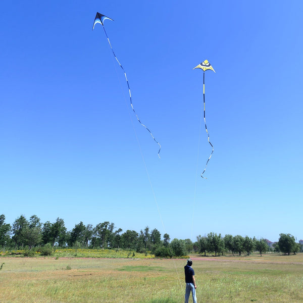 Kangyue Kaiciuss Giant Delta Kite for Adults, Huge Oversized Single Line Beach Kite 50132665103