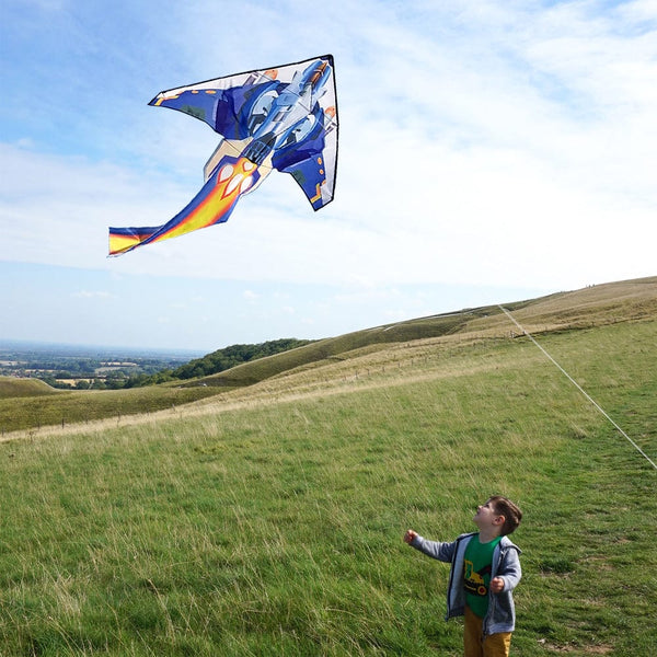 Kangyue Mint's Colorful Life Delta Airplane Kite for Kids 00656516107650