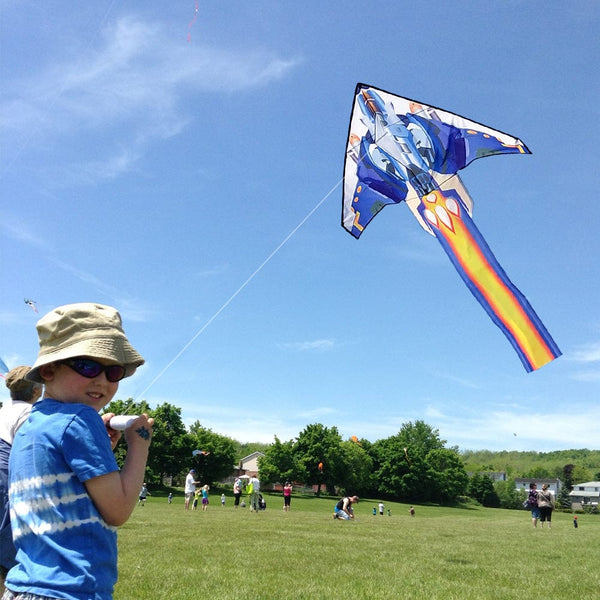 Kangyue Mint's Colorful Life Delta Airplane Kite for Kids 00656516107650