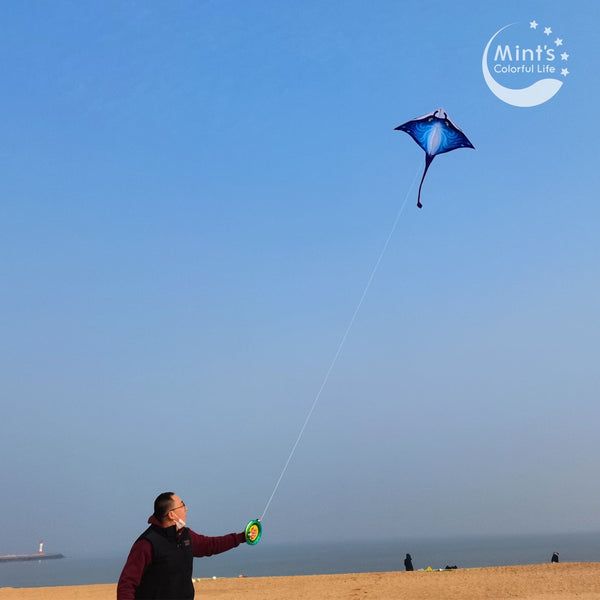 Mint's Colorful Life Mint's Colorful Life Delta Devil Fish Kite (Blue) 00656516042135