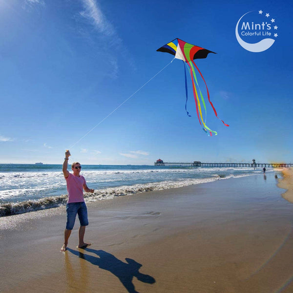 Kangyue Mint's Colorful Life Delta Flying Rainbow Kite 00656516039319