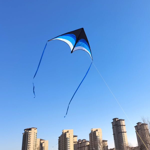 Kangyue Mint's Colorful Life Delta Kite for Kids & Adults (Black Blue) 00191892515977