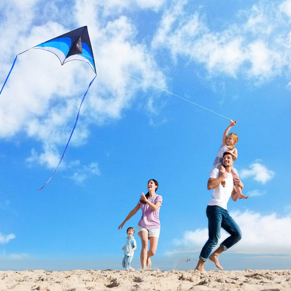 Kangyue Mint's Colorful Life Delta Kite for Kids & Adults (Black Blue) 00191892515977