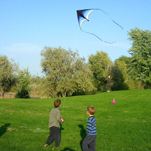 Kangyue Mint's Colorful Life Delta Kite for Kids & Adults (Black Blue) 00191892515977
