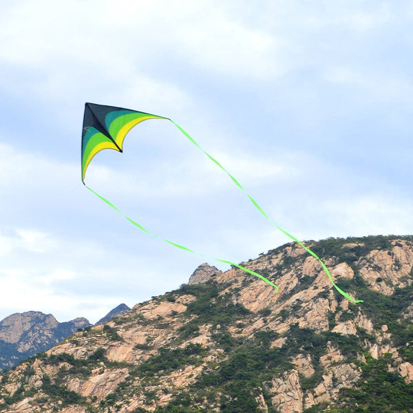 Mint's Colorful Life Mint's Colorful Life Delta Kite for Kids & Adults (Black Green) 00191892515793