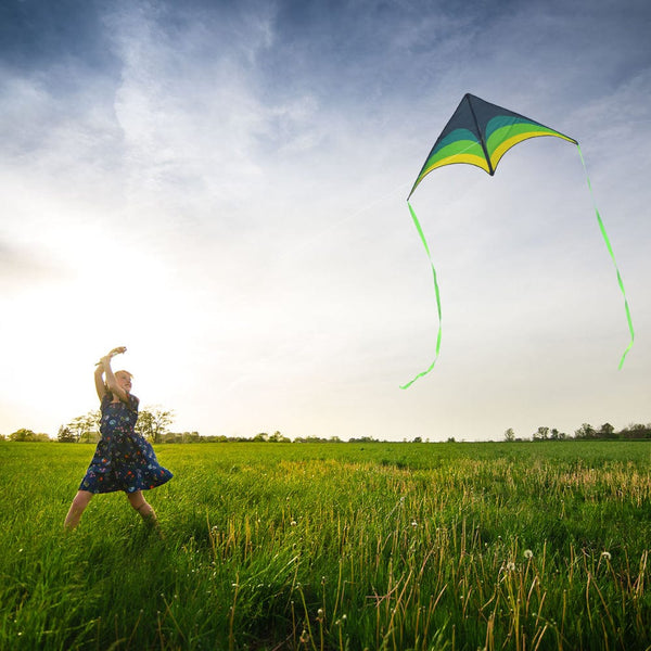 Mint's Colorful Life Mint's Colorful Life Delta Kite for Kids & Adults (Black Green) 00191892515793