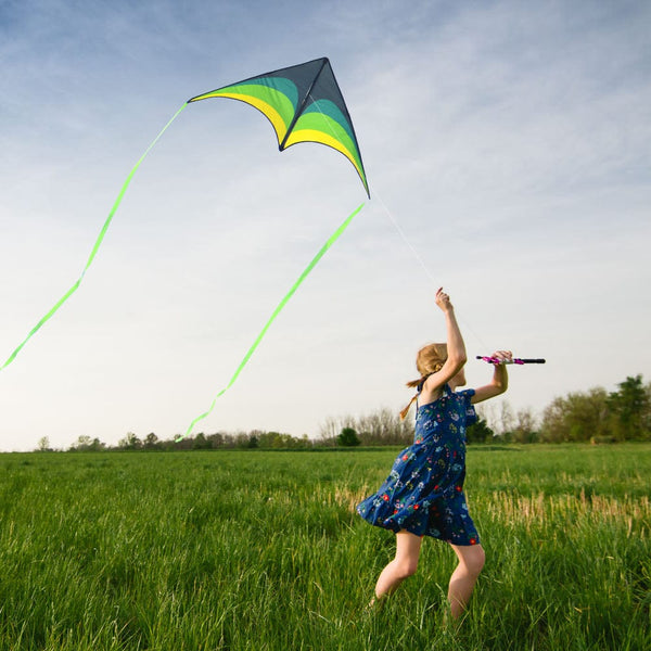 Mint's Colorful Life Mint's Colorful Life Delta Kite for Kids & Adults (Black Green) 00191892515793