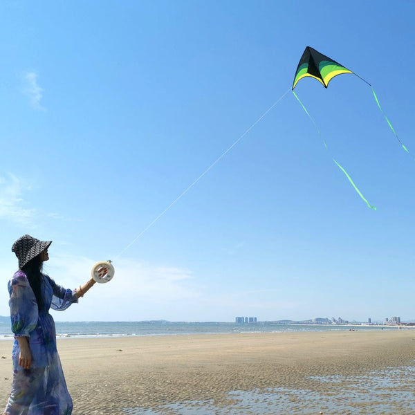 Mint's Colorful Life Mint's Colorful Life Delta Kite for Kids & Adults (Black Green) 00191892515793