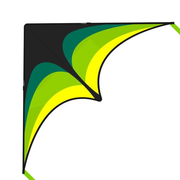 Mint's Colorful Life Mint's Colorful Life Delta Kite for Kids & Adults (Black Green) 00191892515793