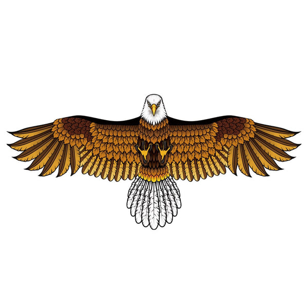 Mint's Colorful Life Mint's Colorful Life Flying Eagle Kite for Kids & Adults 00656516112715