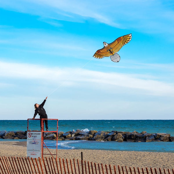 Mint's Colorful Life Mint's Colorful Life Flying Eagle Kite for Kids & Adults 00656516112715