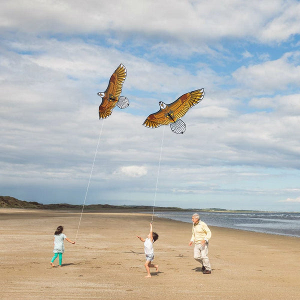 Mint's Colorful Life Mint's Colorful Life Flying Eagle Kite for Kids & Adults 00656516112715