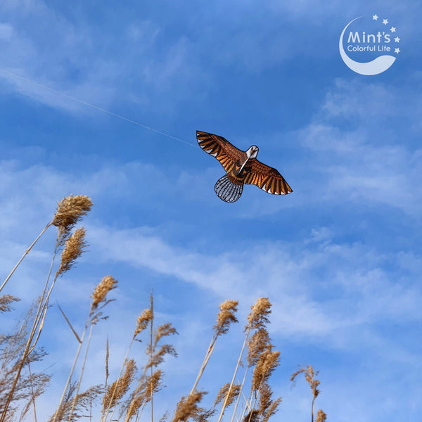 Mint's Colorful Life Mint's Colorful Life Flying Eagle Kite for Kids & Adults 00656516112715