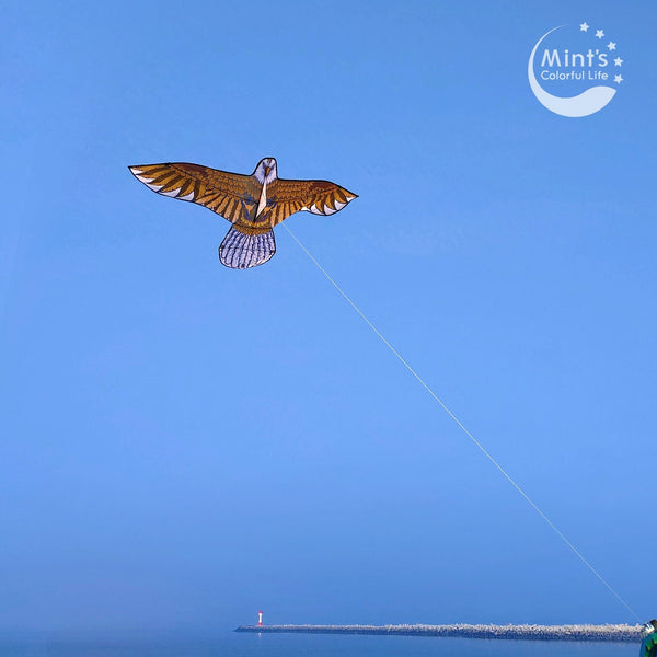 Mint's Colorful Life Mint's Colorful Life Flying Eagle Kite for Kids & Adults 00656516112715