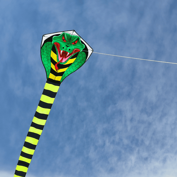Kangyue Mint's Colorful Life Large Cobra Kite with Super Long Tail 00783057800488