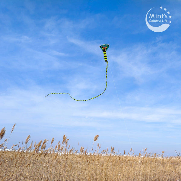 Kangyue Mint's Colorful Life Large Cobra Kite with Super Long Tail 00783057800488