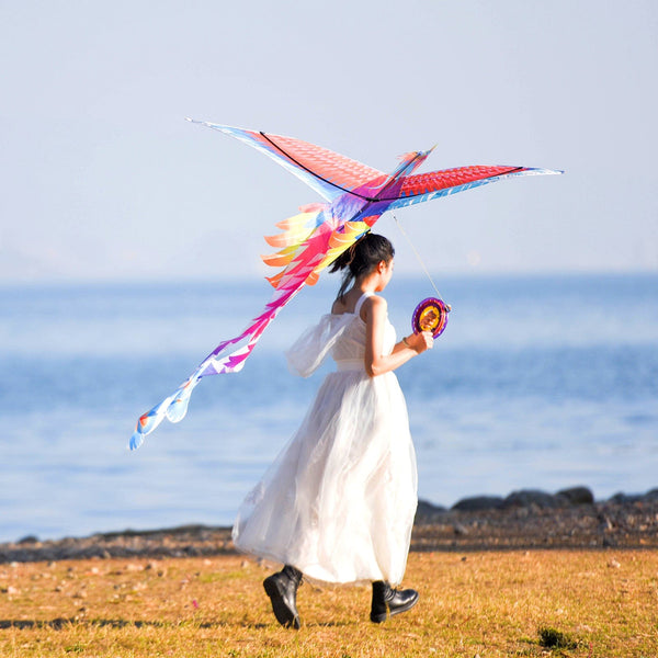 Mint's Colorful Life Mint's Colorful Life Large Rainbow Phoenix Kite for Kids & Adults 00191892516004