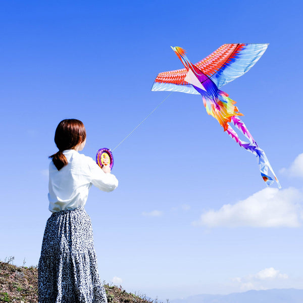Mint's Colorful Life Mint's Colorful Life Large Rainbow Phoenix Kite for Kids & Adults 00191892516004