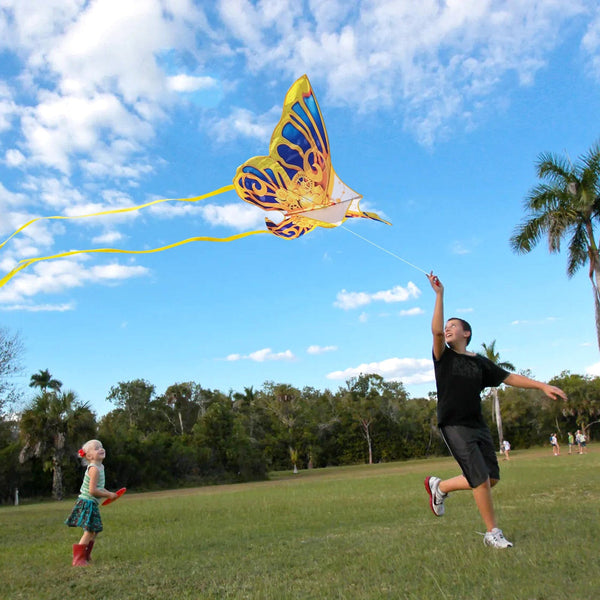 Kangyue Mint's Colorful Life Mechanical Butterfly Kite for Kids & Adults 00191892515939