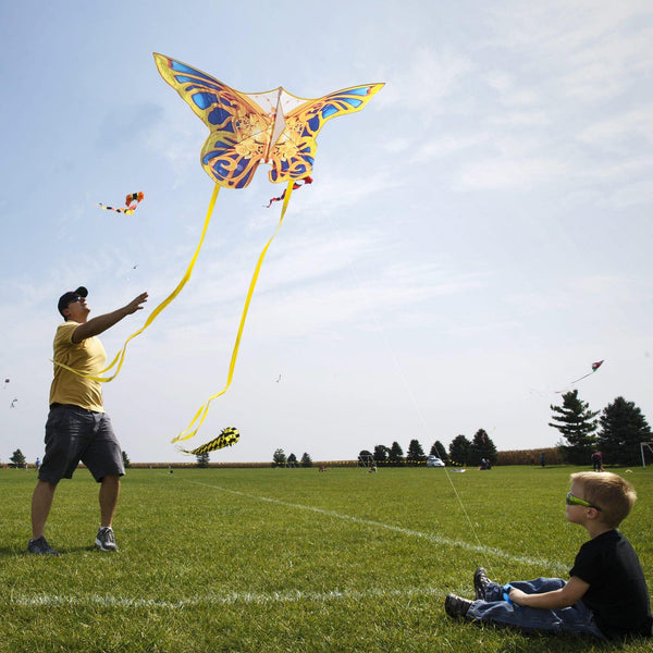 Kangyue Mint's Colorful Life Mechanical Butterfly Kite for Kids & Adults 00191892515939