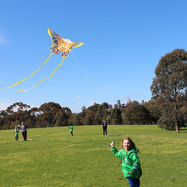 Kangyue Mint's Colorful Life Mechanical Butterfly Kite for Kids & Adults 00191892515939