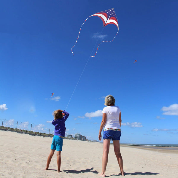 Mint's Colorful Life Mint's Colorful Life National Flag Delta Kite 00191892515977