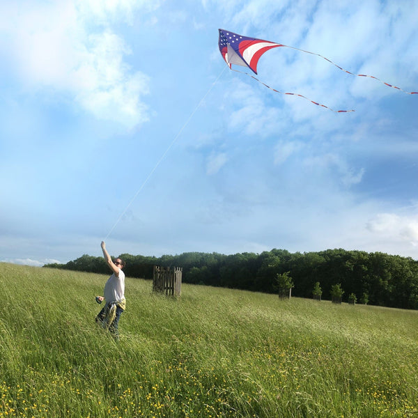 Mint's Colorful Life Mint's Colorful Life National Flag Delta Kite 00191892515977