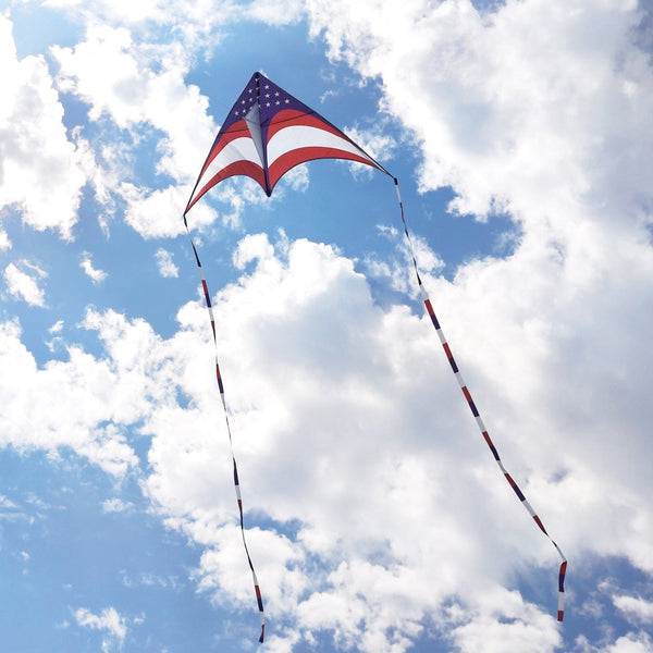 Mint's Colorful Life Mint's Colorful Life National Flag Delta Kite 00191892515977