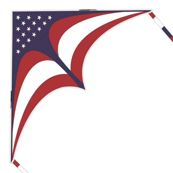 Mint's Colorful Life Mint's Colorful Life National Flag Delta Kite 00191892515977