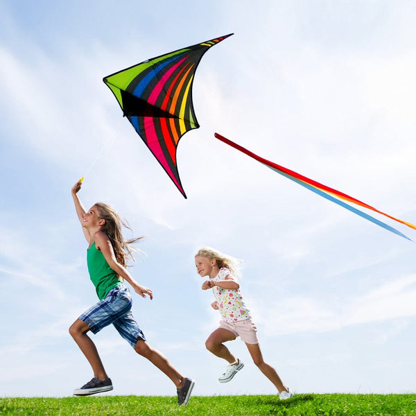 Kangyue Mint's Colorful Life Rainbow Delta Kite for Kids & Adults (Multicolor) 00191892515786