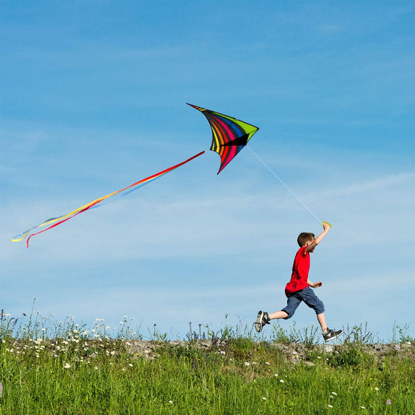 Kangyue Mint's Colorful Life Rainbow Delta Kite for Kids & Adults (Multicolor) 00191892515786