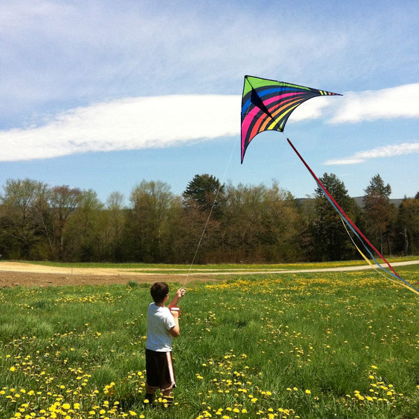 Kangyue Mint's Colorful Life Rainbow Delta Kite for Kids & Adults (Multicolor) 00191892515786
