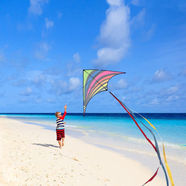 Kangyue Mint's Colorful Life Rainbow Delta Kite for Kids & Adults (Multicolor) 00191892515786