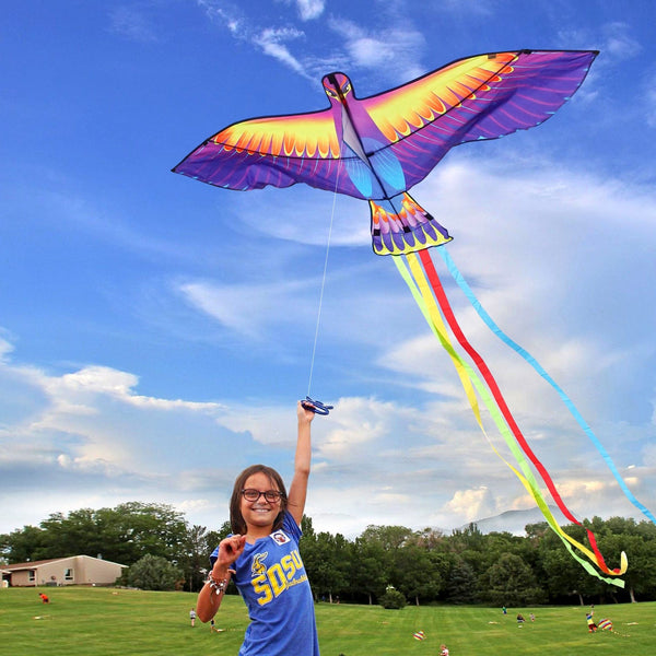 Mint's Colorful Life Phoniex Kite 00191892516011