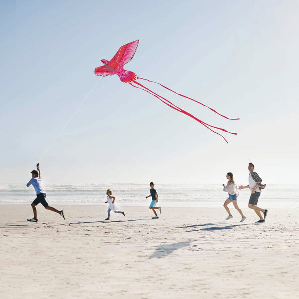 Mint's Colorful Life Pink Kite for Kids Adults, Easy to Fly Large Flamingo Kite 00191892516028