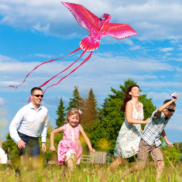 Mint's Colorful Life Pink Kite for Kids Adults, Easy to Fly Large Flamingo Kite 00191892516028