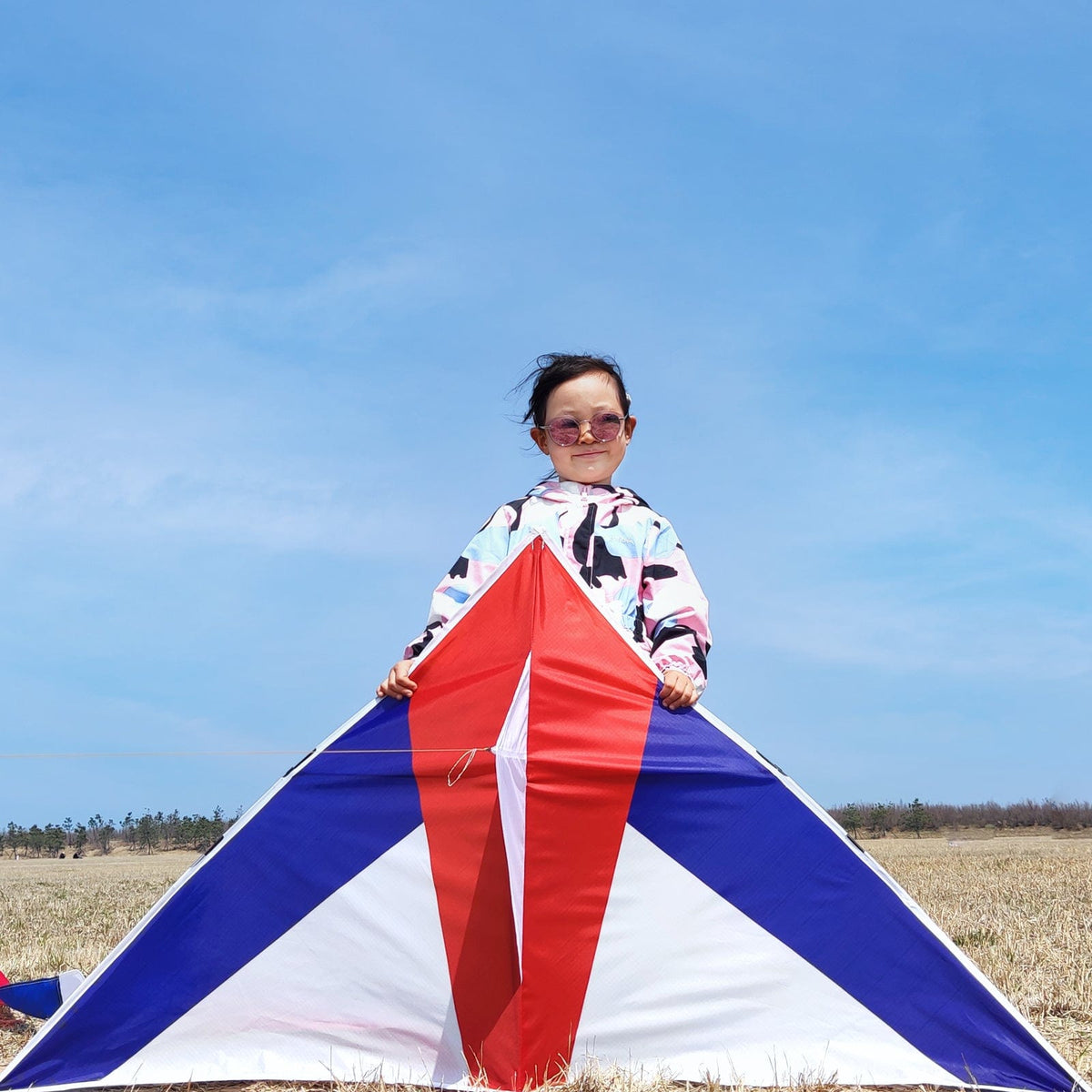 Simxkai Large Delta Kites for Adults & Kids, Easy to Fly & Assemble