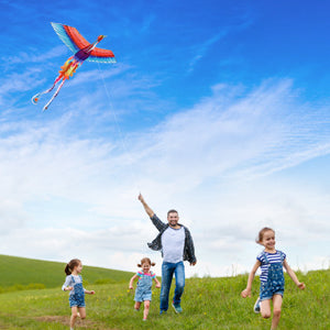 The Dos And Don’ts Of Kite Flying