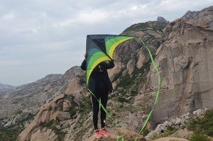 How to Choose the Best Kite for Your Kids and Yourself